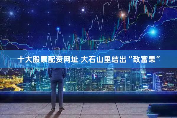 十大股票配资网址 大石山里结出“致富果”