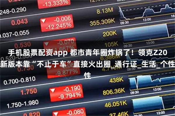 手机股票配资app 都市青年圈炸锅了！领克Z20新版本靠“不止于车”直接火出圈_通行证_生活_个性